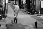 20050919_野良08.jpg