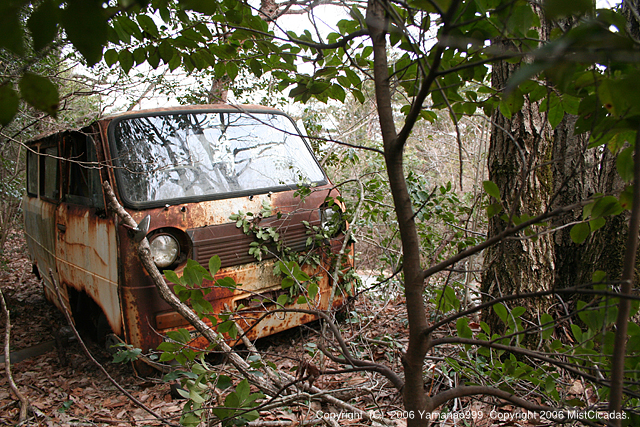 20060326_04.jpg