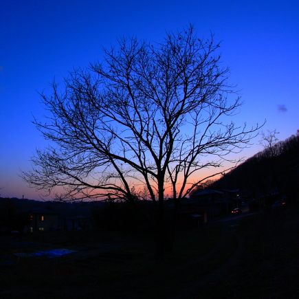20090402_03.jpg