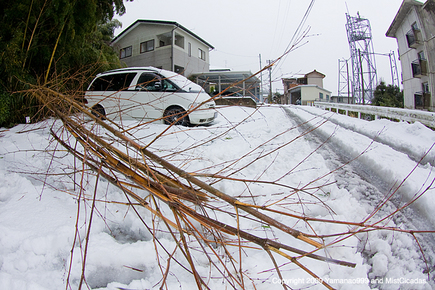 20091220_01.jpg