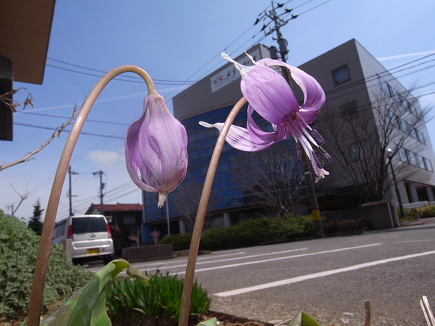 20100330_01.jpg