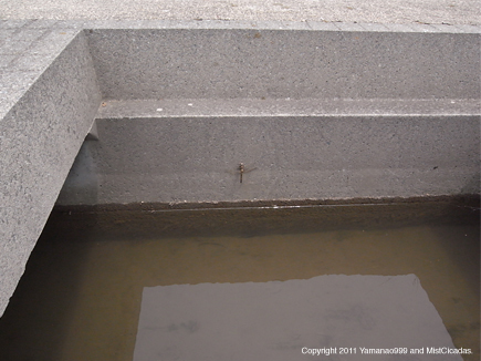 20110616_03.jpg
