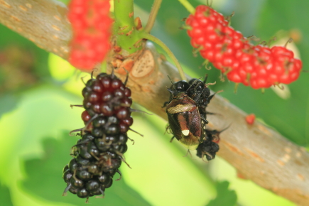20120630_04.jpg