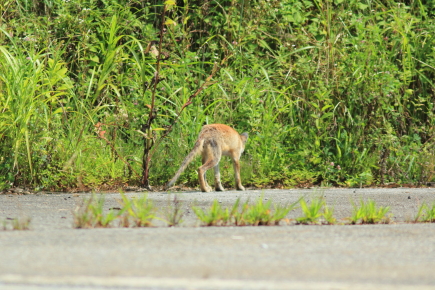 20120816_12.jpg